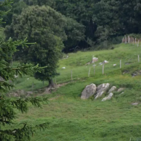 Casa rural Kurtxia Landetxea *