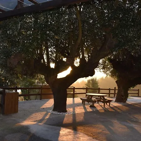 Casa rural Kurtxia Landetxea *